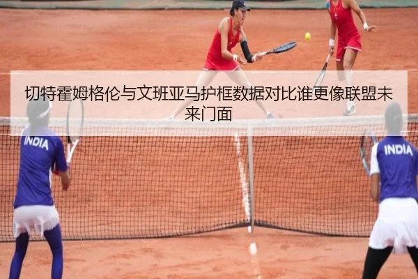 qie-te-huo-mu-ge-lun-yu-wen-ban-ya-ma-hu-kuang-shu-ju-dui-bi-shui-geng-xiang-lian-meng-wei-lai-men-mian-2-317.jpg
