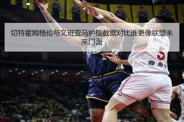 切特霍姆格伦与文班亚马护框数据对比谁更像联盟未来门面
